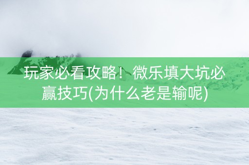 玩家必看攻略！微乐填大坑必赢技巧(为什么老是输呢)