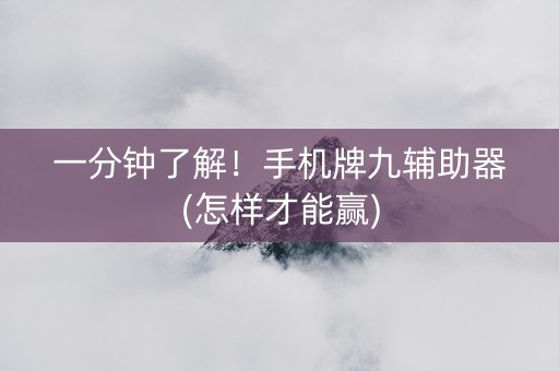 一分钟了解！手机牌九辅助器(怎样才能赢)