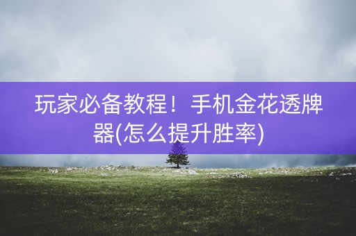 玩家必备教程！手机金花透牌器(怎么提升胜率)