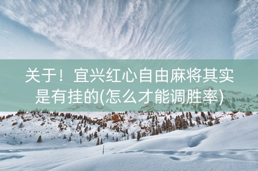 关于！宜兴红心自由麻将其实是有挂的(怎么才能调胜率)
