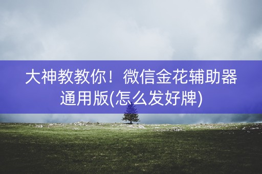 大神教教你！微信金花辅助器通用版(怎么发好牌)