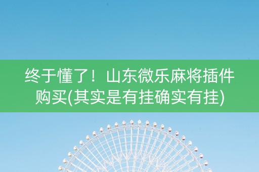 终于懂了！山东微乐麻将插件购买(其实是有挂确实有挂)