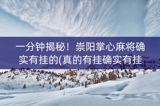 一分钟揭秘！崇阳掌心麻将确实有挂的(真的有挂确实有挂)