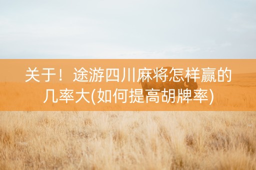 关于！途游四川麻将怎样赢的几率大(如何提高胡牌率)