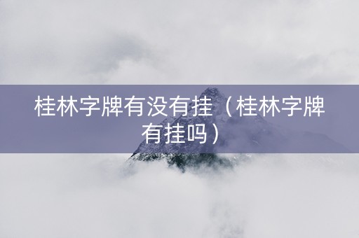 桂林字牌有没有挂（桂林字牌有挂吗）