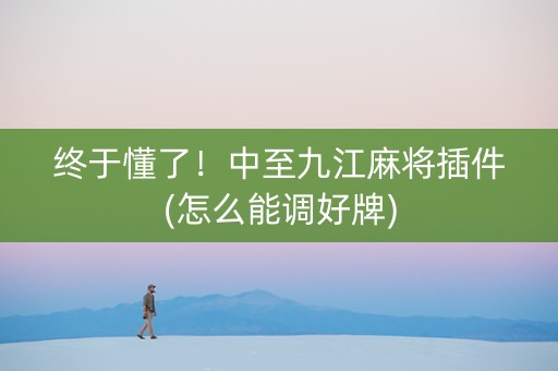 终于懂了！中至九江麻将插件(怎么能调好牌)