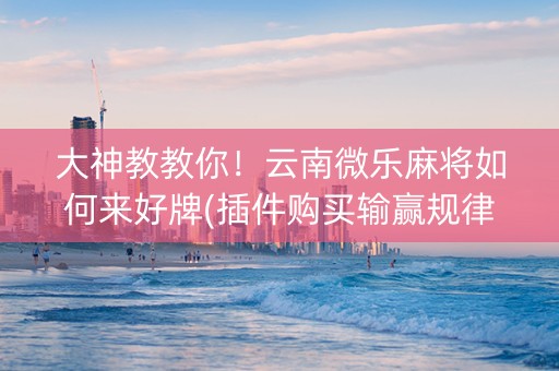 大神教教你！云南微乐麻将如何来好牌(插件购买输赢规律)
