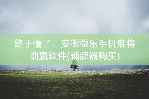 终于懂了！安徽微乐手机麻将助赢软件(辅牌器购买)
