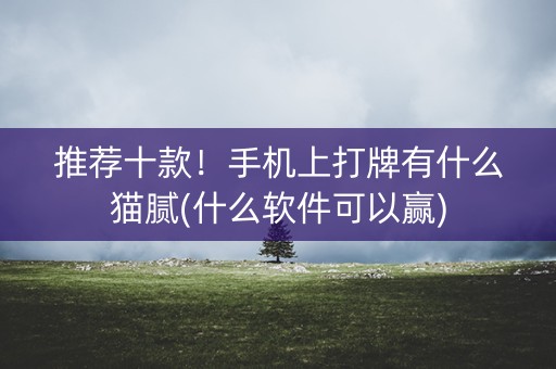 推荐十款！手机上打牌有什么猫腻(什么软件可以赢)