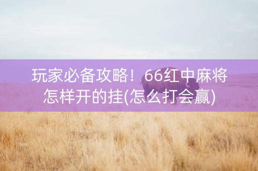 玩家必备攻略！66红中麻将怎样开的挂(怎么打会赢)
