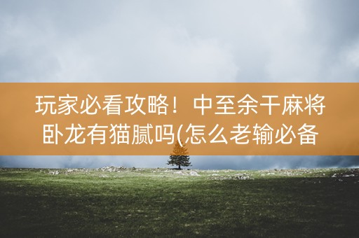 玩家必看攻略！中至余干麻将卧龙有猫腻吗(怎么老输必备神器)