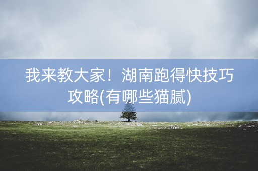 我来教大家！湖南跑得快技巧攻略(有哪些猫腻)