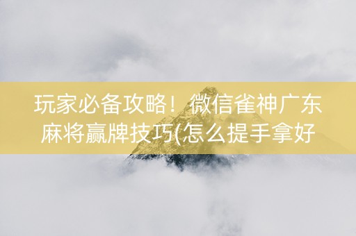 玩家必备攻略！微信雀神广东麻将赢牌技巧(怎么提手拿好牌)