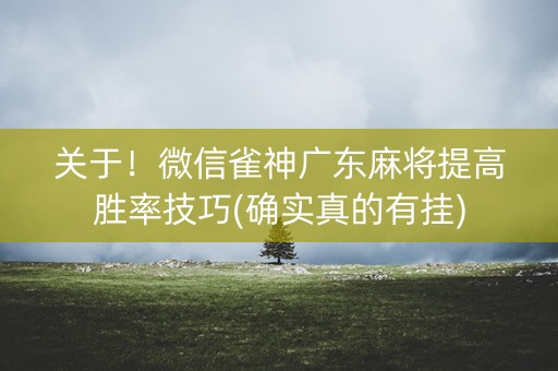 关于！微信雀神广东麻将提高胜率技巧(确实真的有挂)
