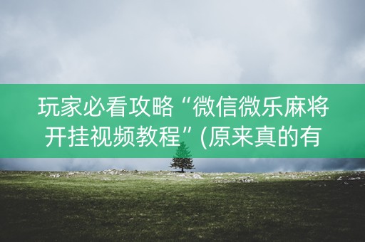玩家必看攻略“微信微乐麻将开挂视频教程”(原来真的有挂)-知乎