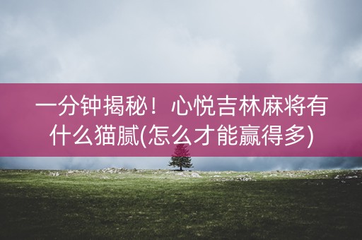 一分钟揭秘！心悦吉林麻将有什么猫腻(怎么才能赢得多)