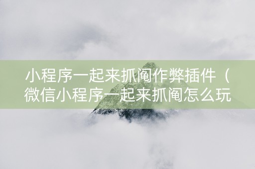小程序一起来抓阄作弊插件（微信小程序一起来抓阄怎么玩）