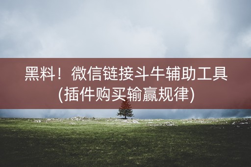 黑料！微信链接斗牛辅助工具(插件购买输赢规律)