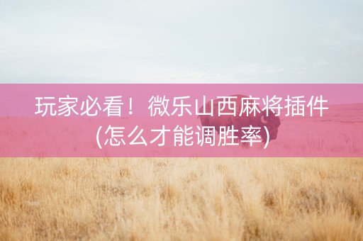 玩家必看！微乐山西麻将插件(怎么才能调胜率)