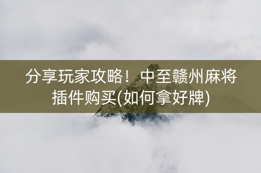 分享玩家攻略！中至赣州麻将插件购买(如何拿好牌)