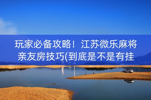 玩家必备攻略！江苏微乐麻将亲友房技巧(到底是不是有挂)