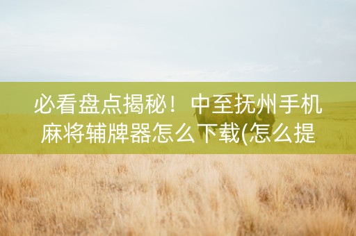 必看盘点揭秘！中至抚州手机麻将辅牌器怎么下载(怎么提高好牌率)