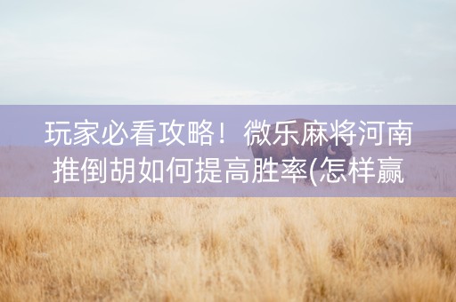 玩家必看攻略！微乐麻将河南推倒胡如何提高胜率(怎样赢的几率大)