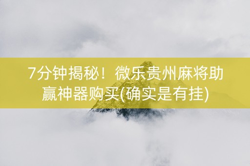 7分钟揭秘！微乐贵州麻将助赢神器购买(确实是有挂)