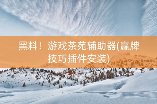 黑料！游戏茶苑辅助器(赢牌技巧插件安装)
