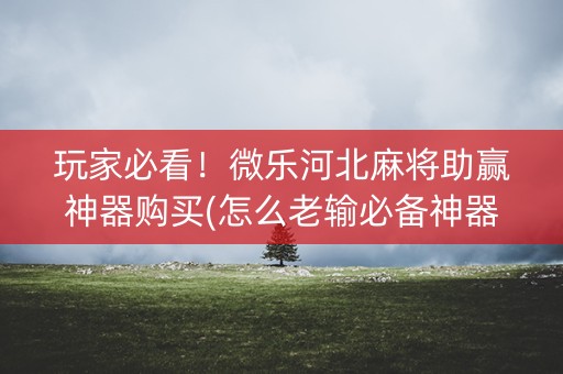 玩家必看！微乐河北麻将助赢神器购买(怎么老输必备神器)