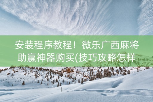 安装程序教程！微乐广西麻将助赢神器购买(技巧攻略怎样拿好牌)