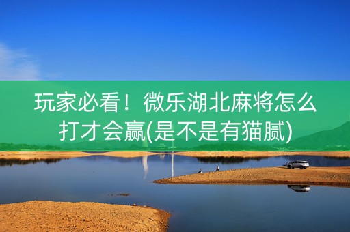 玩家必看！微乐湖北麻将怎么打才会赢(是不是有猫腻)