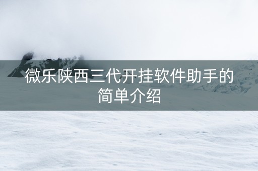 微乐陕西三代开挂软件助手的简单介绍