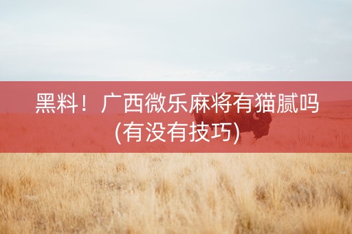 黑料！广西微乐麻将有猫腻吗(有没有技巧)