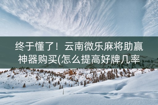 终于懂了！云南微乐麻将助赢神器购买(怎么提高好牌几率)