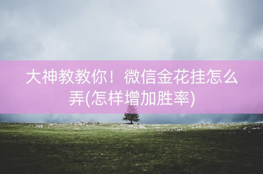 大神教教你！微信金花挂怎么弄(怎样增加胜率)