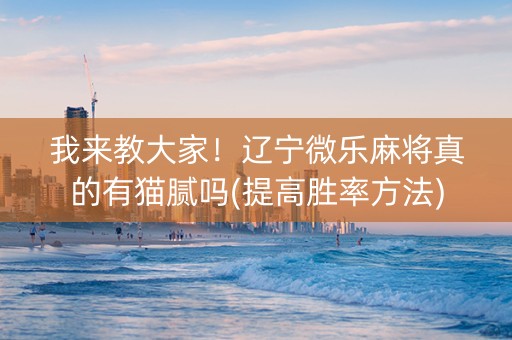 我来教大家！辽宁微乐麻将真的有猫腻吗(提高胜率方法)