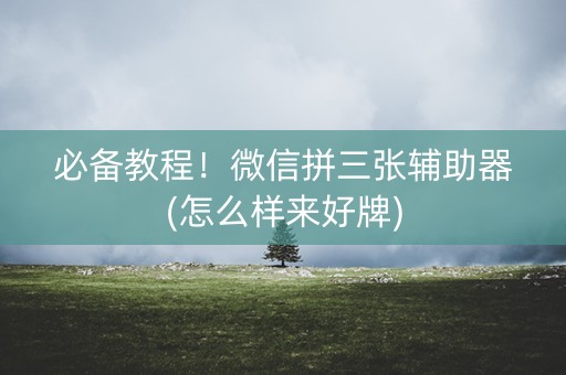 必备教程！微信拼三张辅助器(怎么样来好牌)