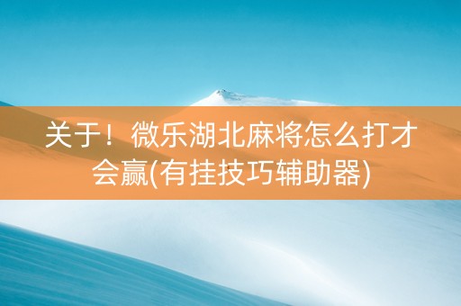 关于！微乐湖北麻将怎么打才会赢(有挂技巧辅助器)