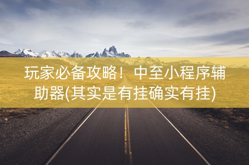 玩家必备攻略！中至小程序辅助器(其实是有挂确实有挂)