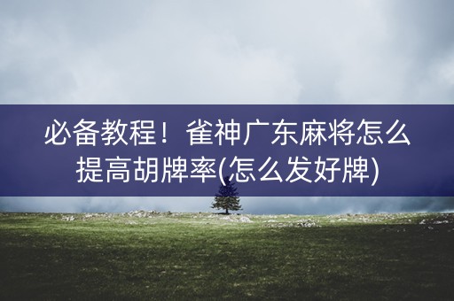必备教程！雀神广东麻将怎么提高胡牌率(怎么发好牌)
