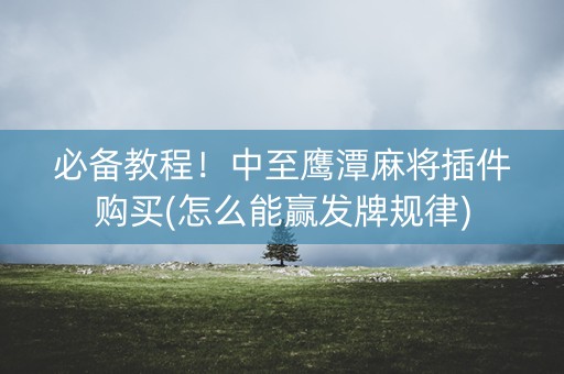 必备教程！中至鹰潭麻将插件购买(怎么能赢发牌规律)