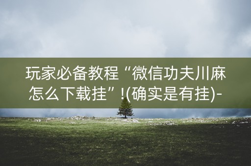 玩家必备教程“微信功夫川麻怎么下载挂”!(确实是有挂)-知乎