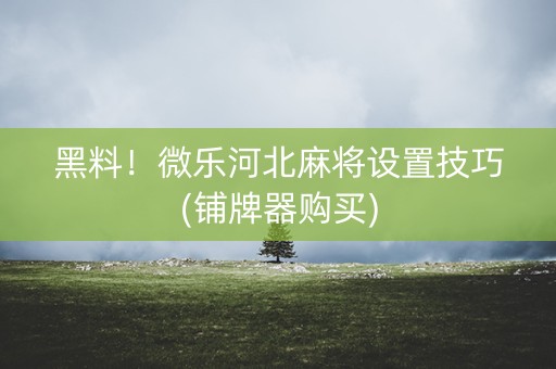 黑料！微乐河北麻将设置技巧(铺牌器购买)