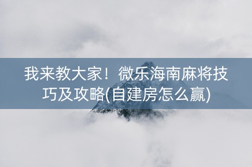 我来教大家！微乐海南麻将技巧及攻略(自建房怎么赢)