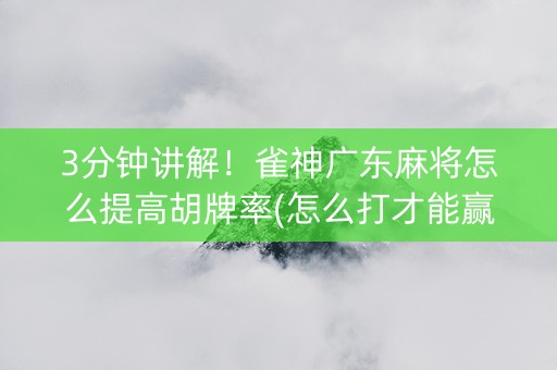 3分钟讲解！雀神广东麻将怎么提高胡牌率(怎么打才能赢)