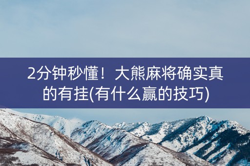 2分钟秒懂！大熊麻将确实真的有挂(有什么赢的技巧)