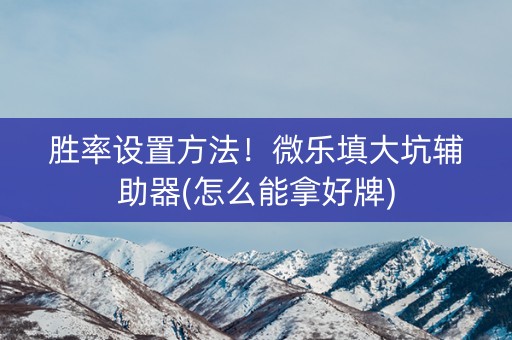 胜率设置方法！微乐填大坑辅助器(怎么能拿好牌)