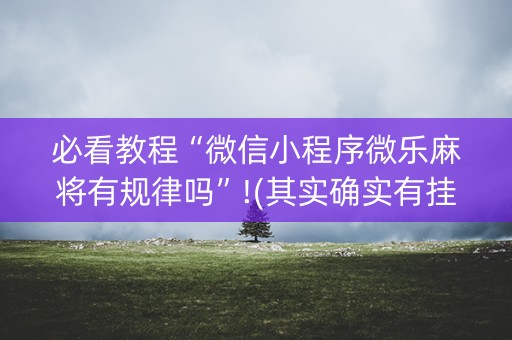 必看教程“微信小程序微乐麻将有规律吗”!(其实确实有挂)-知乎