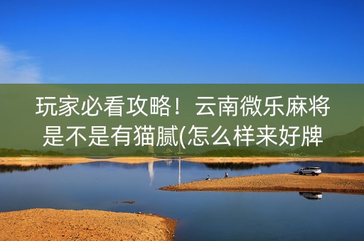 玩家必看攻略！云南微乐麻将是不是有猫腻(怎么样来好牌)